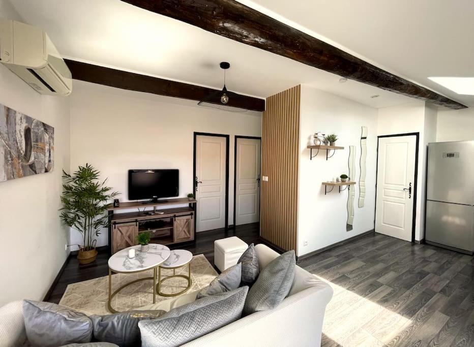 Charme Urbain Sous Les Toits-Terrasse/Clim/Parking Apartment Beziers Luaran gambar
