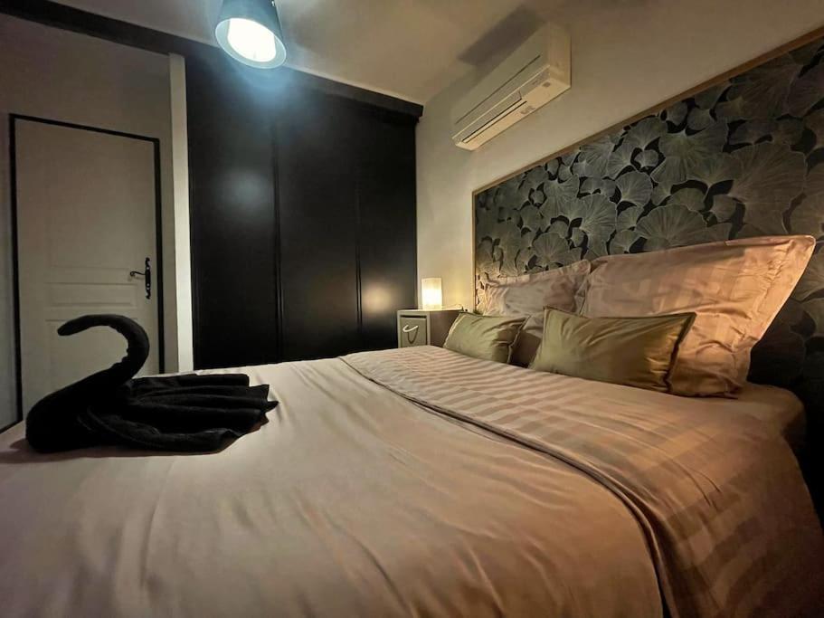 Charme Urbain Sous Les Toits-Terrasse/Clim/Parking Apartment Beziers Luaran gambar