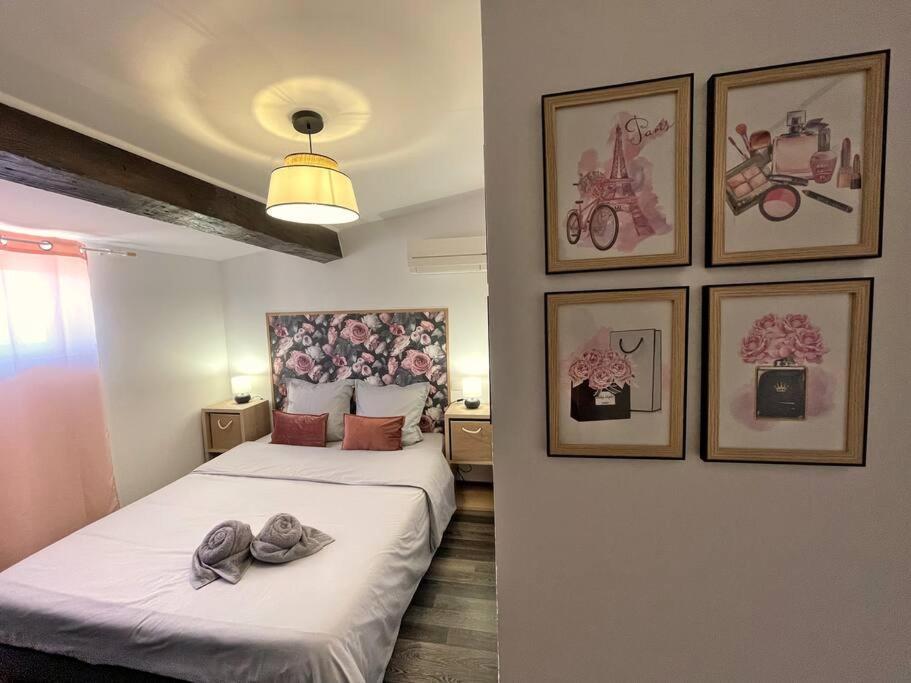 Charme Urbain Sous Les Toits-Terrasse/Clim/Parking Apartment Beziers Luaran gambar